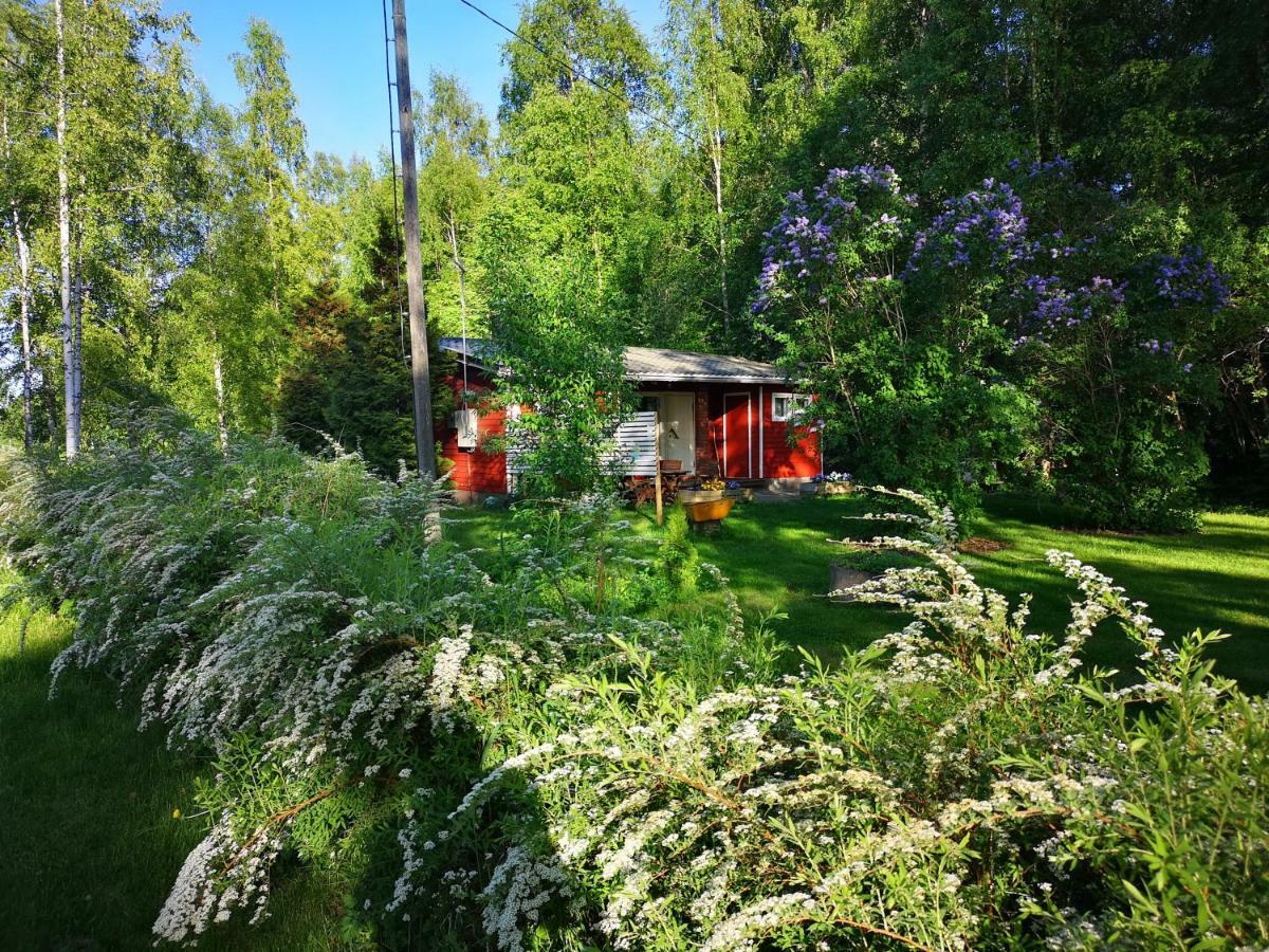 Koivuniemi Cottage Säkylä Extérieur photo