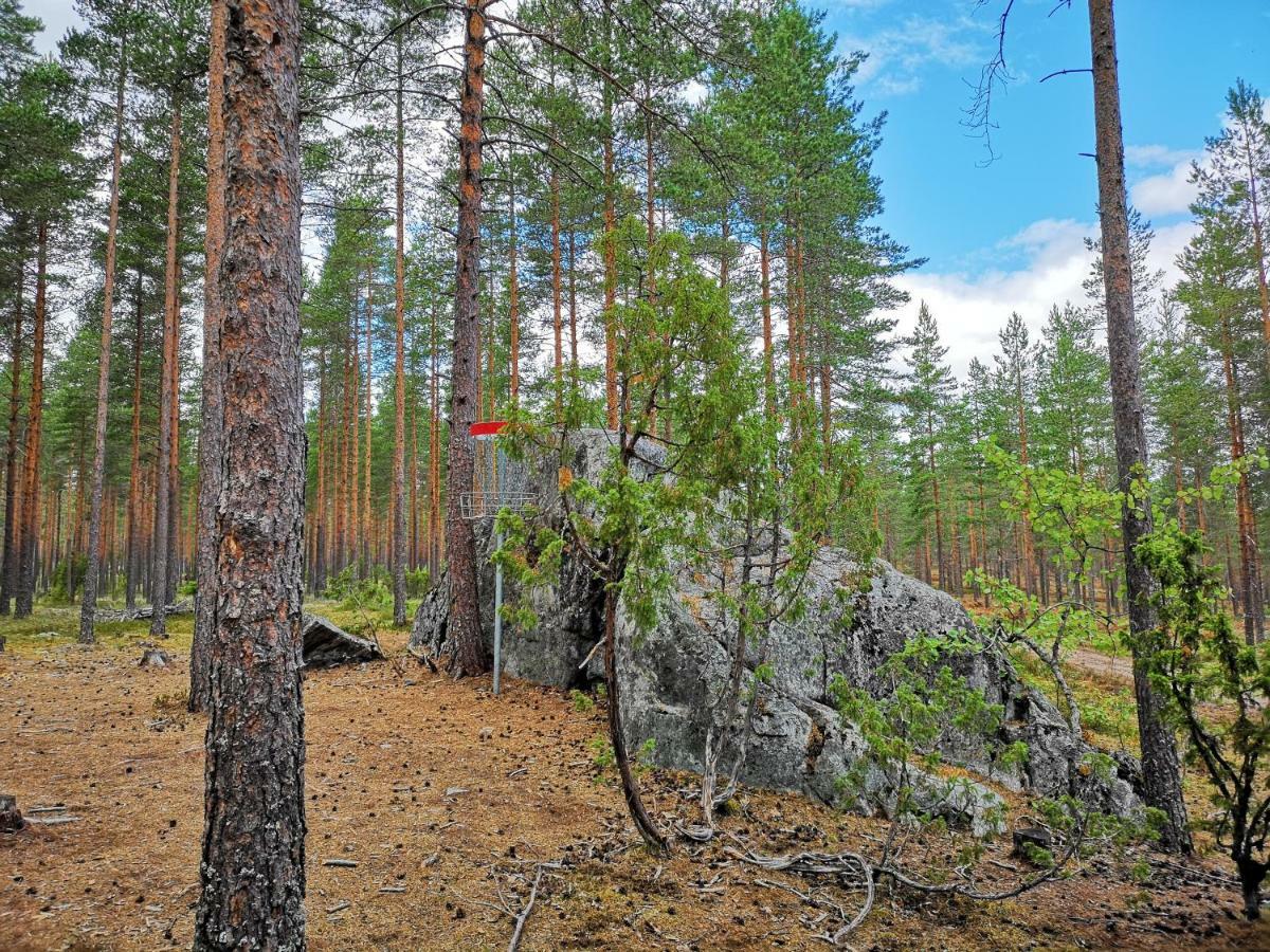 Koivuniemi Cottage Säkylä Extérieur photo