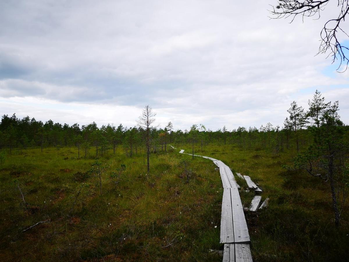 Koivuniemi Cottage Säkylä Extérieur photo